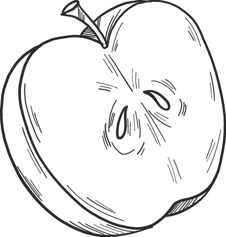 Half Apple Coloring Page